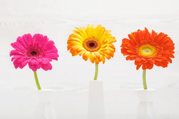 Três Flores Gerbera Vaso Mesa Madeira Branca Daisy Flor Vaso — Fotografia de Stock