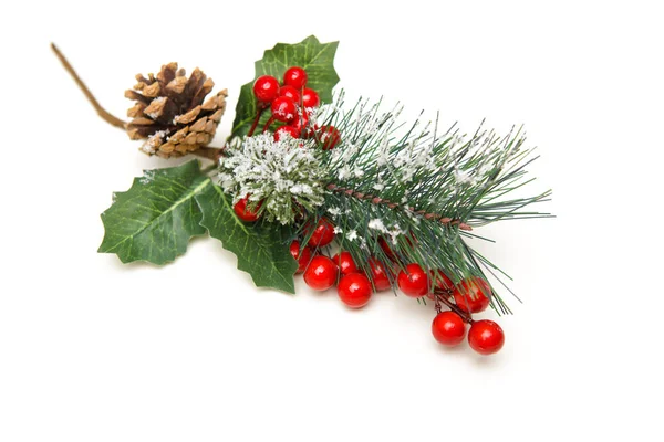 Christmas decoration of holly berry and pine cone — Stock Photo, Image