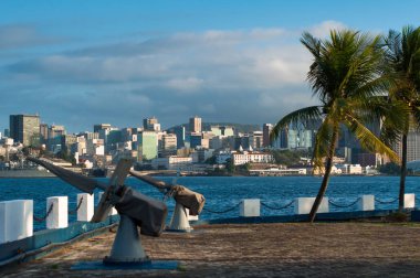 Rio de Janeiro şehir şehir görünümü palmiye ağaçları ile