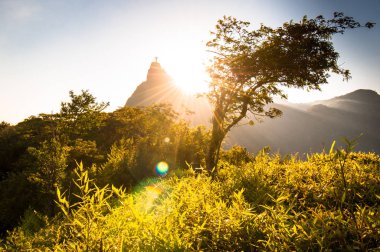 Güzel sıcak günbatımı manzaralı park Corcovado dağ Rio de Janeiro