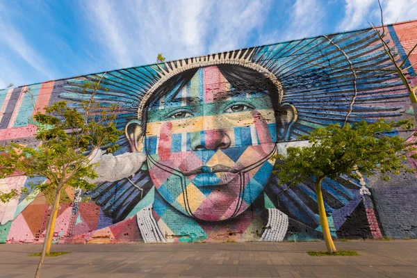 Rio Janeiro Brazil June 2020 Eduardo Kobra Mural Named Native — стоковое фото