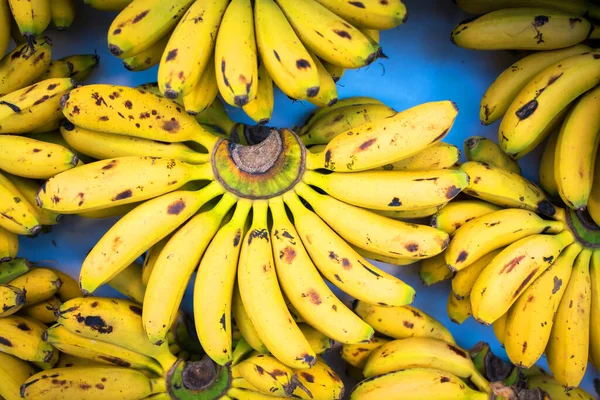 Grupo Plátanos Naturales Frescos Mercado —  Fotos de Stock