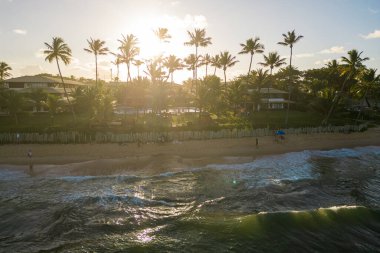 Praia do Forte Beach in Bahia State on Sunset With Palm Trees