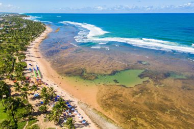 Aerial View of Natural Pool at the Coast of Praia do Forte Beach in Bahia State in Brazil