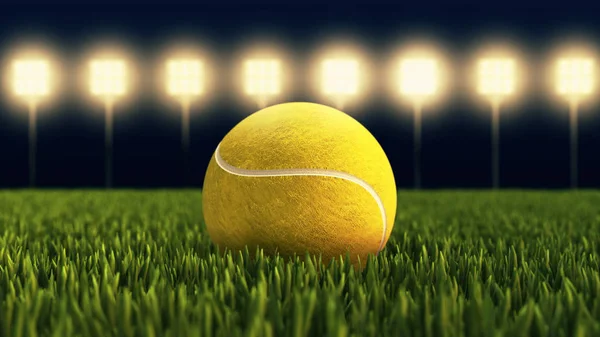  Slazenger Pelotas de tenis de Wimbledon : Deportes y  Actividades al Aire Libre