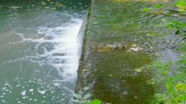 Salıncak arka plan videosu olan bir nehir