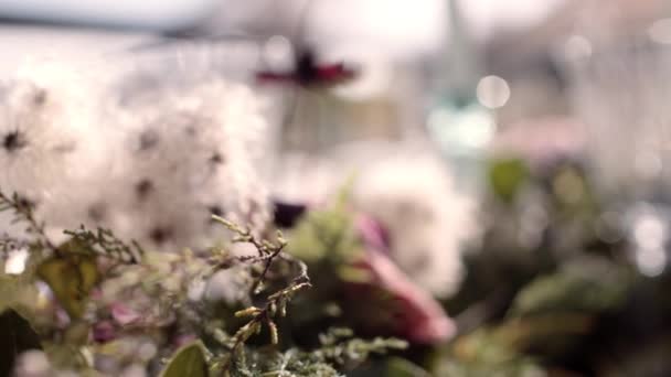 Dekoráció Table Mariage Avec Des Fleurs Vaisselle — Stock videók