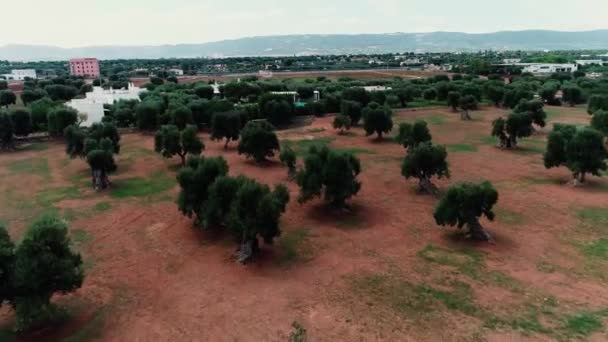 Betalning Landsbygden Italien Vue Arienne — Stockvideo