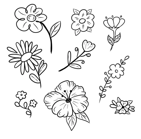 Linework Flowers Set Black Handmade Line Digital Art Print Stikers — Stock Photo, Image