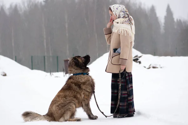 Kız kış aylarında ormanın ortasında bir karlı zeminde Köpek eğitiyor. Kız bir ceket, uzun yün etek ve eşarp. Beyaz Bahçe çitin arkasında koruyan çoban.