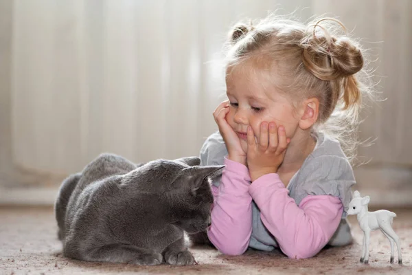 Bir kız bir pembe bluz ve gri bir sundress bir gri kedi ile oynuyor. O yanına yatıyor ve kedi görünüyor. Bu diğer tarafında bir çocuk oyuncak beyaz geyik yavrusu var.