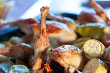 kabak, biber ve diğer sebzeler ile pişmiş tavuk