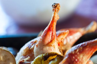 kabak, biber ve diğer sebzeler ile pişmiş tavuk