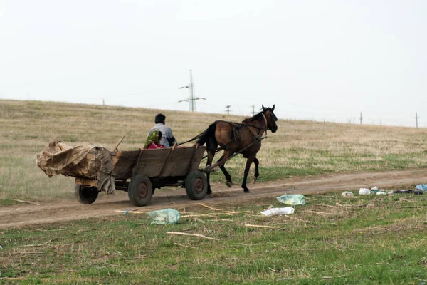 Romen köylüler plastik çöple kaplı tarlalar arasında sadık bir at tarafından çizilen bir arabaya binmek.