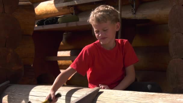 Bir Çocuk Verandayı Güçlendirmek Için Çivi Çakıyor Kırmızı Tişörtlü Tüylü — Stok video