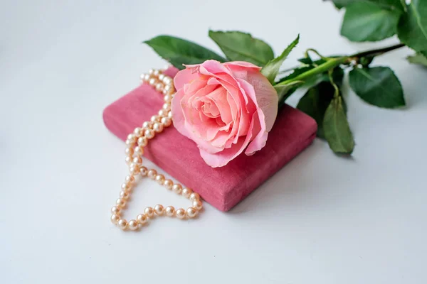 Pearl necklace on rose velvet box and pink one rose. Light background. Clouse-up.