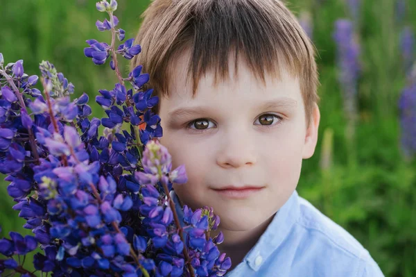 Entzückender Junge im blauen T-Shirt mit einem Strauß Lupinen auf einer Wiese — Stockfoto