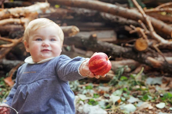 Lilla söta flicka sitter på gräset med en korg äpplen i händerna. Pump söt baby. Höstens babyfoto — Stockfoto