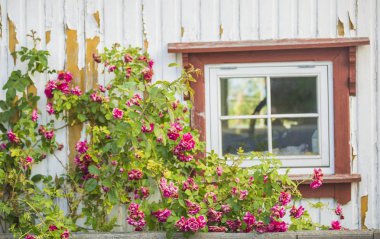 Sanat tezgah ve yaz aylarında çiçek 