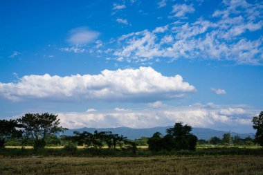 Mavi gökyüzü ve bulutlu manzara
