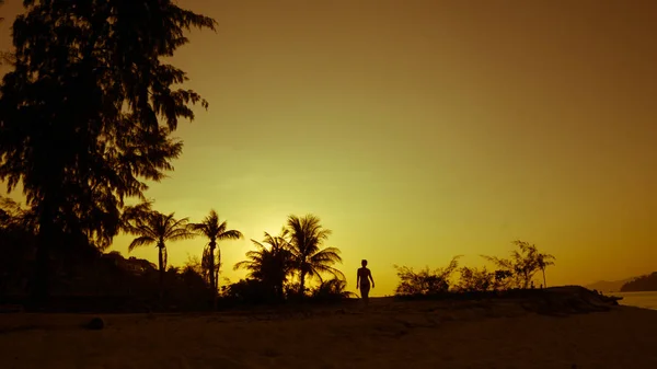 Scenery Sunset Forest Island Traveler Silhouette — Stock Photo, Image