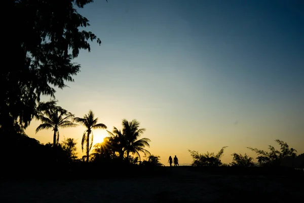 Scenery Sunset Forest Island Traveler Silhouette — Stock Photo, Image
