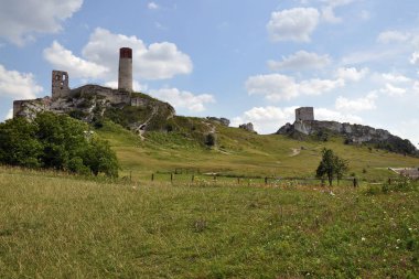 Olsztyn kale - Polonya