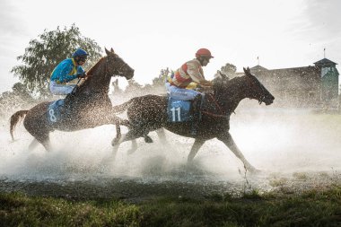 WROCLAW, POLAND - SEPTEMBER 13; 2020: Greate Wroclawska International Horse Racing ve Racecourse WTWK Party 'de daha yaşlı atlar. Jokey N. Loven at üzerinde kozmik büyü (11).