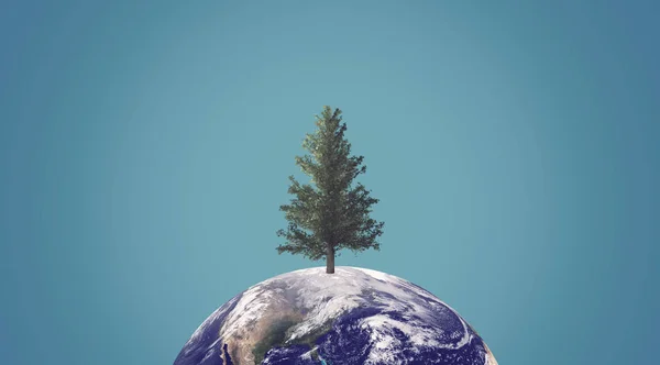 Экологическая Концепция Зеленая Энергия Деревья Близкие Вымиранию Элементы Этого Изображения — стоковое фото