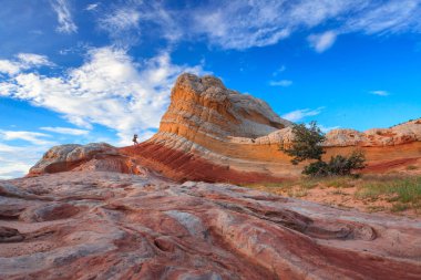 Beyaz cep, vermilyon kayalıklarla Ulusal Anıtı, Arizona, ABD