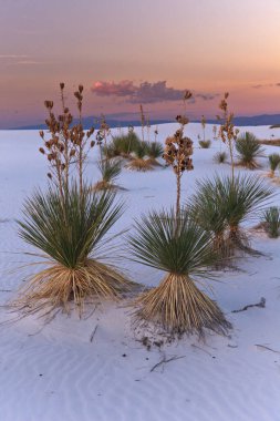 White Sands Ulusal Anıtı 'nda Günbatımı, New Mexico, Usa