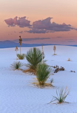 White Sands Ulusal Anıtı 'nda Günbatımı, New Mexico, Usa