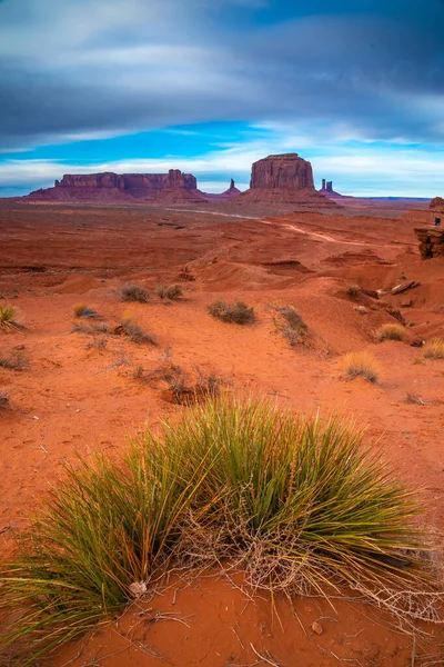 Divoká tráva v Monument Valley, Navajo Land, Utah — Stock fotografie