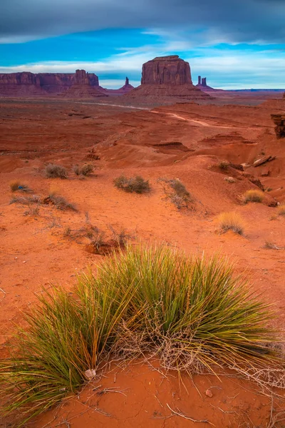 Vilt gräs i Monument Valley, Navajo Land, Utah — Stockfoto