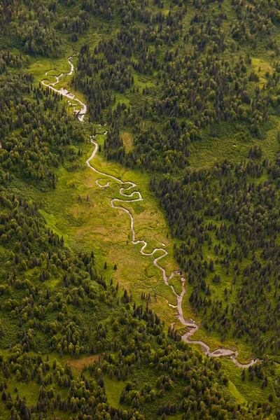Alaska 'nın yeşil kalbi. Yazın yeşil cüce ormanında kıvrılan bir nehir.