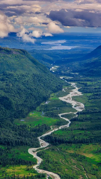 Groene hart van Alaska - een rivier kronkelt door het groene dwergbos Rechtenvrije Stockfoto's