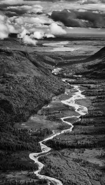 Imagem preta e branca de um rio que serpenteia pela floresta anã do Alasca — Fotografia de Stock