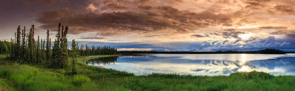 Alaszkai nyár - nyugodt kilátás a Csodató, Denali Nemzeti Park — Stock Fotó