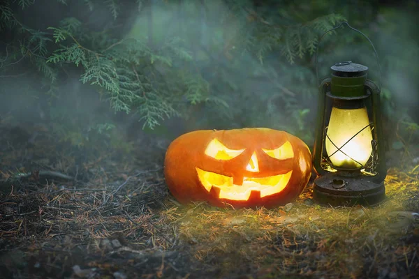 A glowing Jack O Lantern in a dark mist Forest on Halloween.