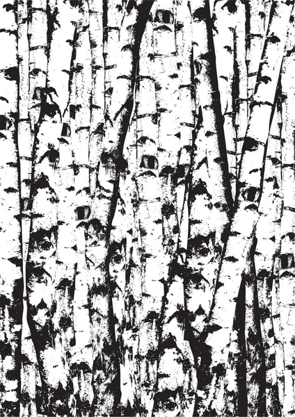 Illustration Vectorielle Réaliste Bouleaux Forêt Bouleaux Vecteurs Noirs Blancs Troncs — Image vectorielle