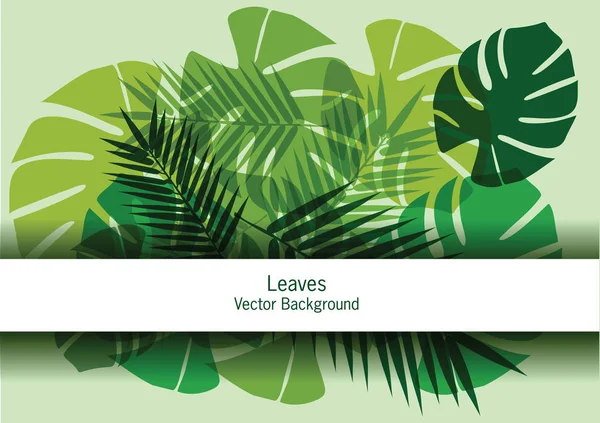 Abstract Vecto Palm Leaves Background Bright Green Tropical Palms Leaves — Stock Vector