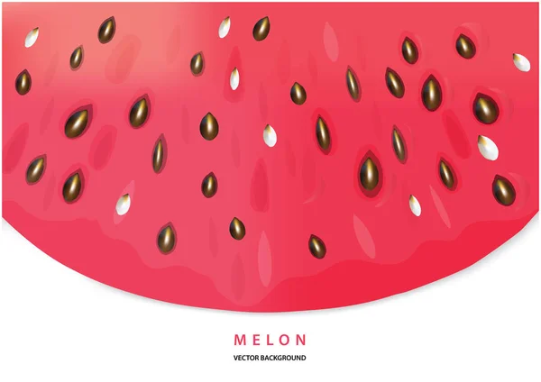 Farbvektor Wassermelone Illustration Mit Platz Für Ihren Text Realistische Vecto — Stockvektor