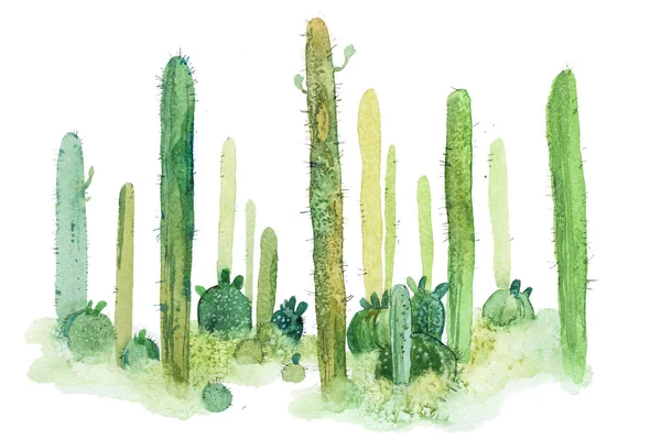 Gambar tangan cat air kaktus runcing terisolasi pada warna putih — Stok Foto