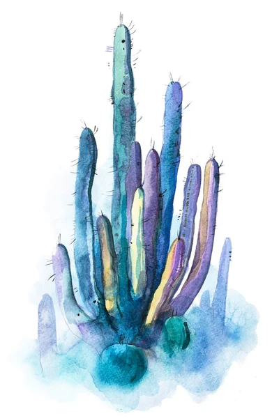 Akvarelu ručně tažené špičaté kaktus izolované na bílém — Stock fotografie