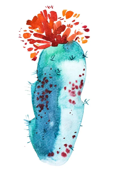 Watercolor hand drawn spiky cactus bloom flower. — Stock Photo, Image