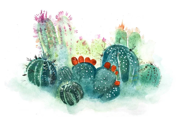 Fiore di cactus appuntito disegnato a mano acquerello . — Foto Stock