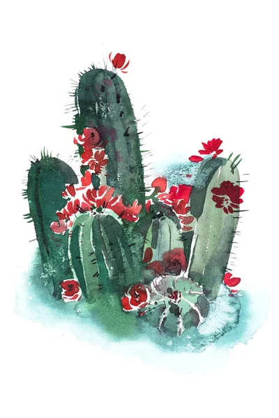 Watercolor hand drawn spiky cactus bloom flower. — Stock Photo, Image