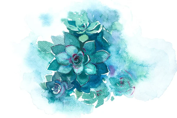 Кактус суккулентный алоэ растение цветок акварель иллюстрация . — стоковое фото