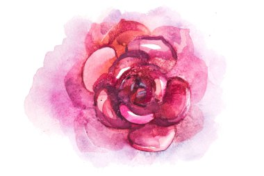 Kaktüs sulu aloe bitki çiçek suluboya resim