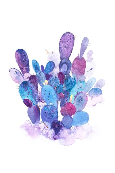 Watercolor hand drawn spiky cactus bloom flower — Stock Photo, Image